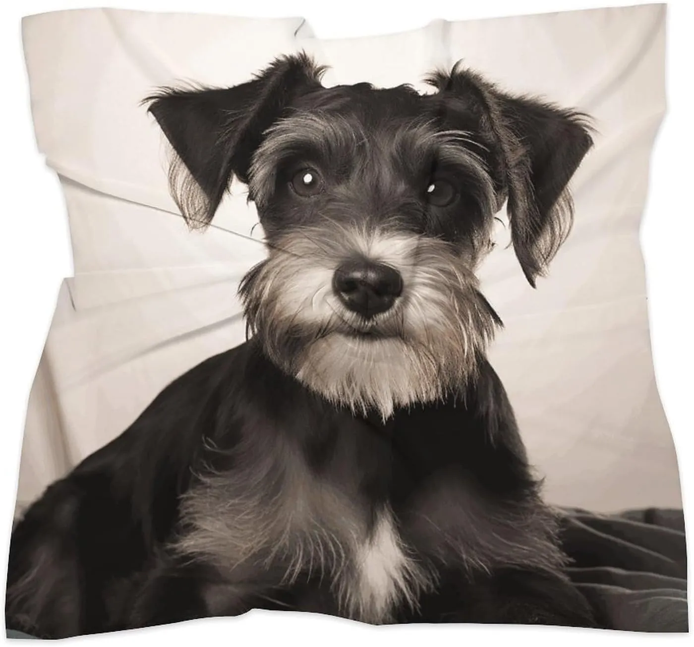 18" Silk Scarf Lightweight Satin Cute Schnauzer Head Scarf Fashion Neck Head Scarves Headband Silk Scarves for Women Men Boho Hair Wrap Kerchief Hair Bandanas Square Neckerchief