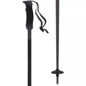 Atomic AMT SQS Ski Poles