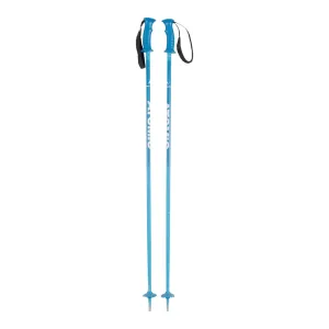 Atomic APT Ski Poles