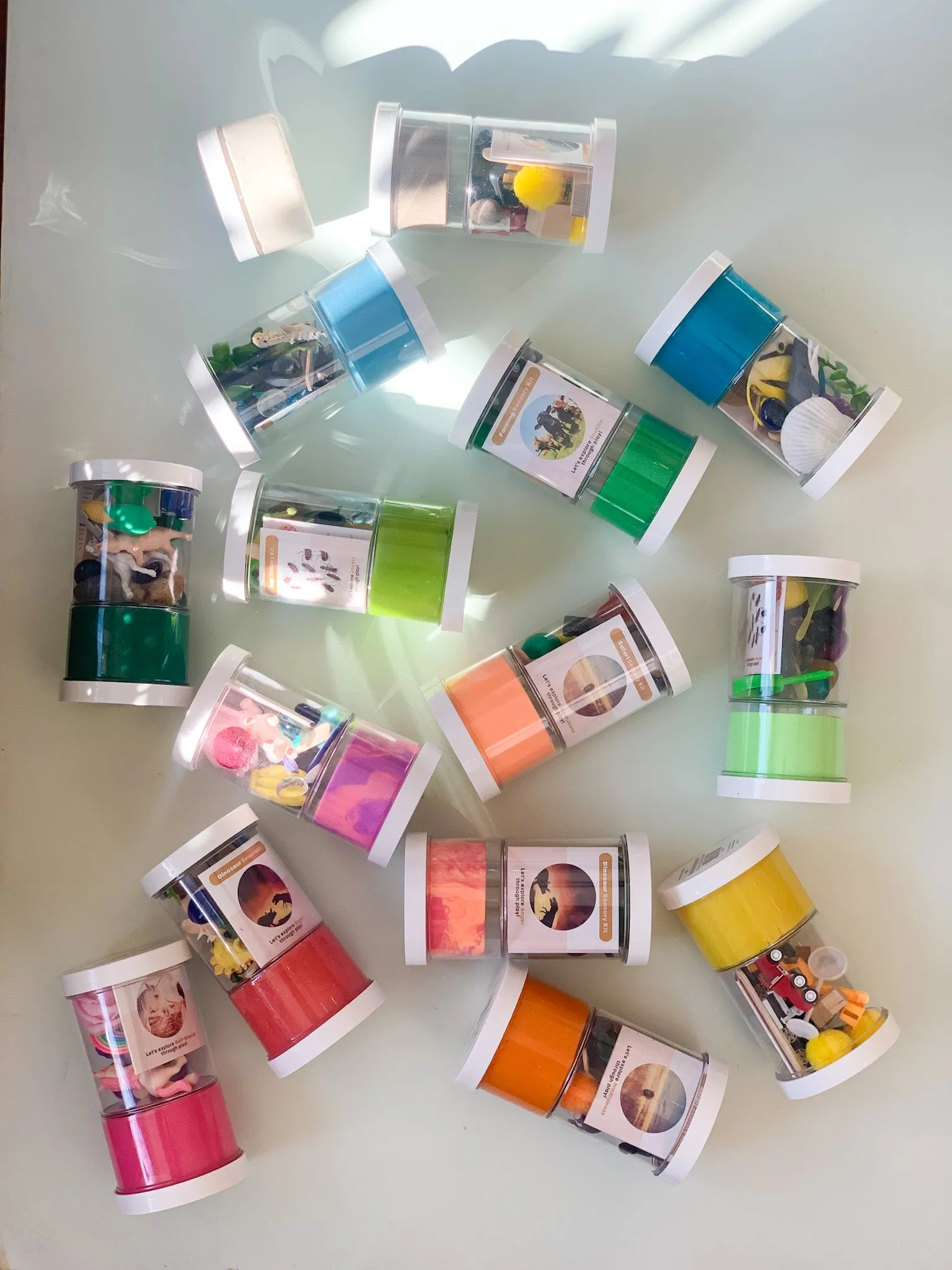 Sensory Kit, Bugs