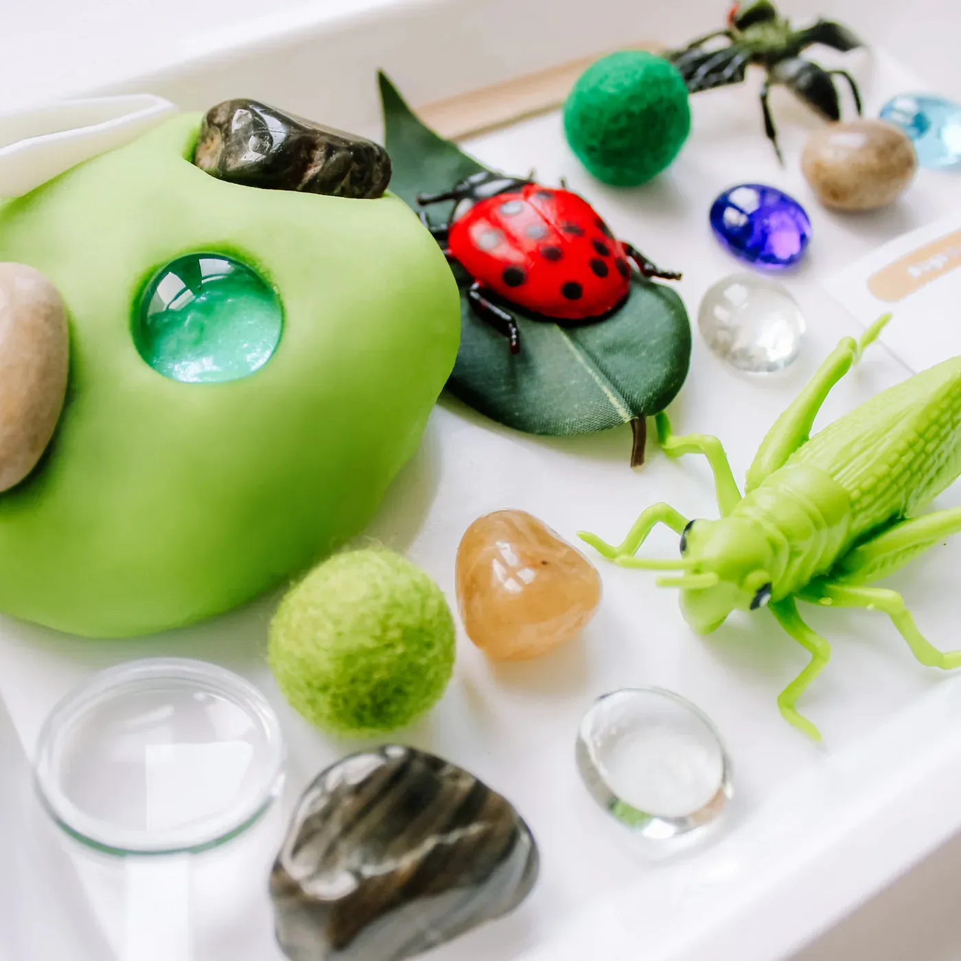 Sensory Kit, Bugs
