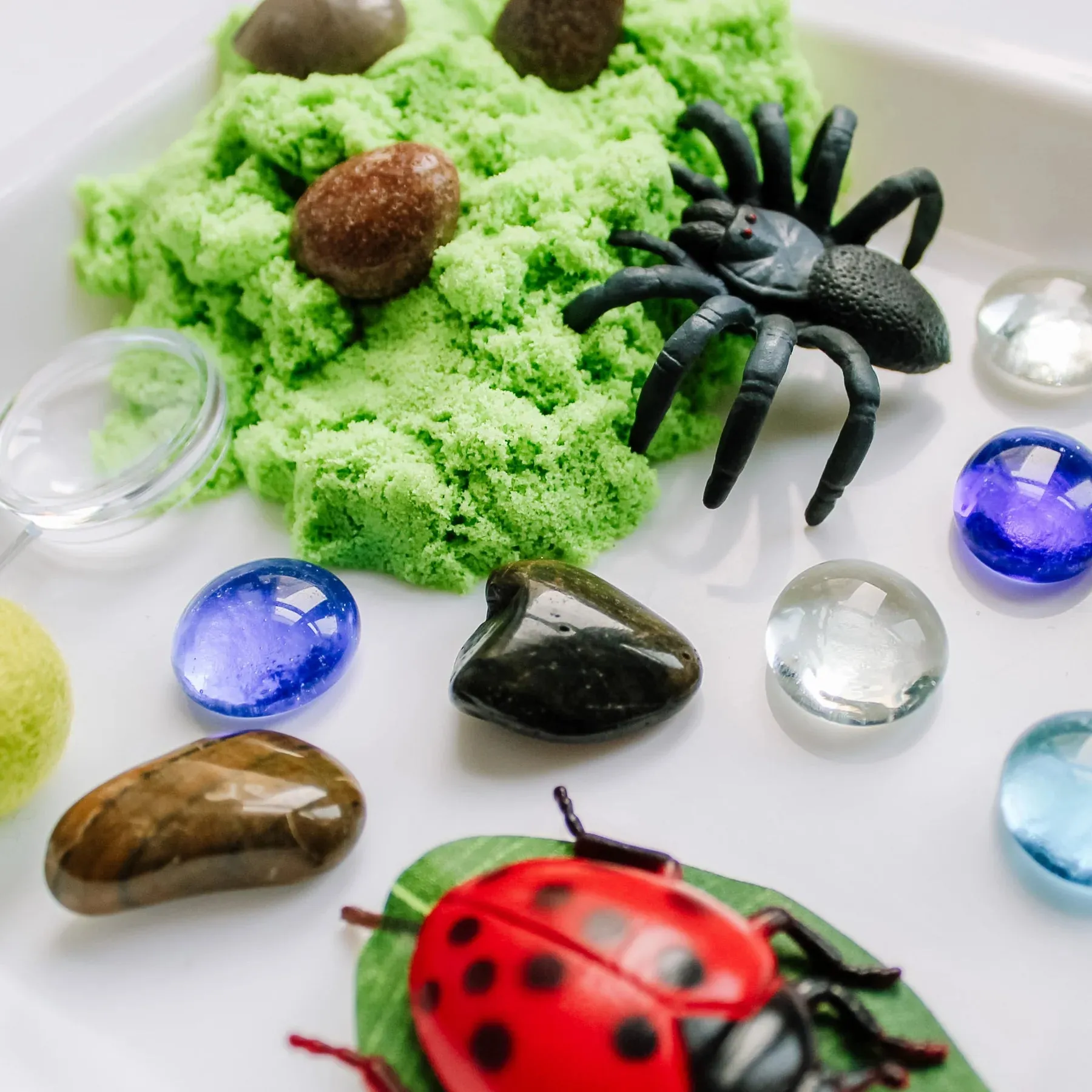 Sensory Kit, Bugs