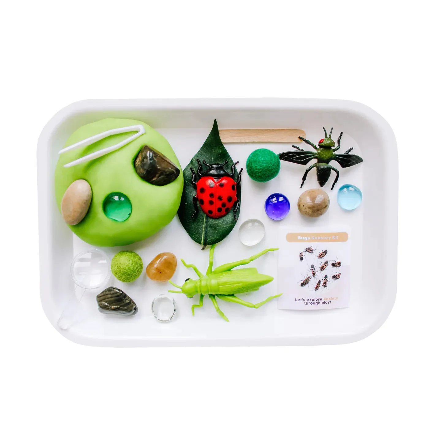 Sensory Kit, Bugs