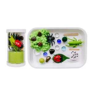 Sensory Kit, Bugs